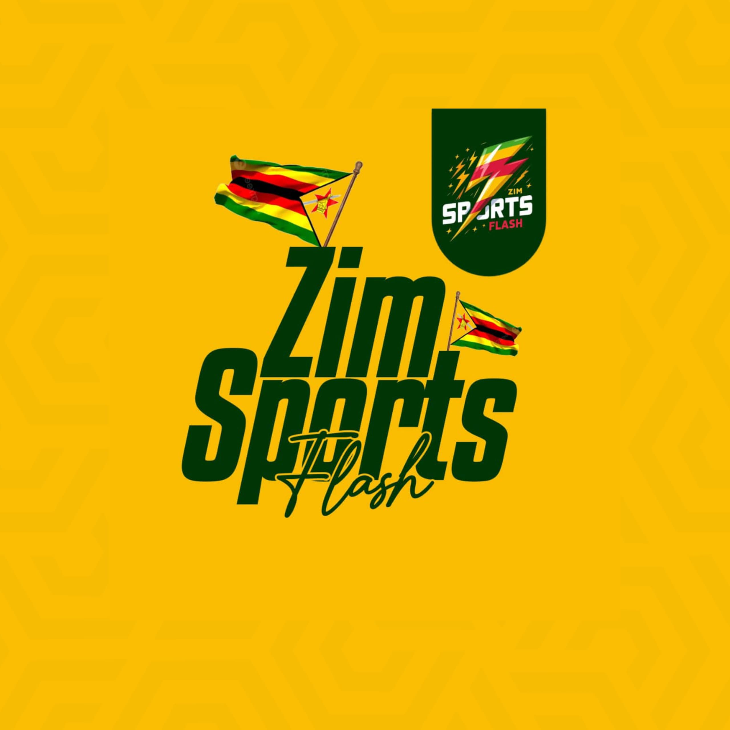 ZimSports Flash™